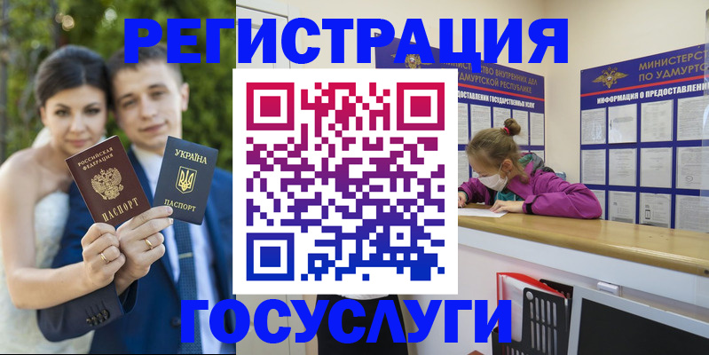 прописка поиск в Мурманской области